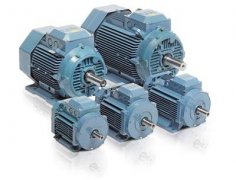 IE2過(guò)程用途鋁殼電機(jī)