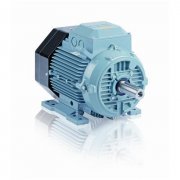 IE2一般用途鋁殼電機(jī)