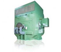 8-40極正壓型直接啟動(dòng)同步電機(jī)