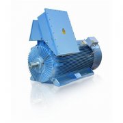 增安型鑄鐵高壓電機(jī)